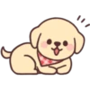 جرو سعيد 🐶  (9h6d3gyzqf)