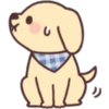 جرو سعيد 🐶  (rs9m68wgvt)