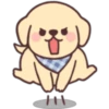 جرو سعيد 🐶  (nz5pxrbg4m)