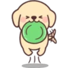 جرو سعيد 🐶  (khxz6fqg9w)