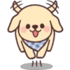 جرو سعيد 🐶  (pjzq852g3m)