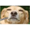 Memes Mix GT1🇬🇹 (rvfg8bwqcy)