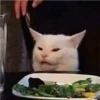 سلطة؟ لا