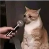 مقابلة محرجة