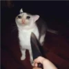 لا تؤذني