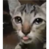 لسان حزين