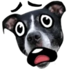 ✔1🙀Gestitos Graciosos🐶🇵🇪 (jf6xpr8dqn)