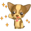 🐾chihuahuas 🐾 (yfxp79bjnt)