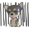 🐾chihuahuas 🐾 (9vsgjfz4md)