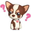 🐾chihuahuas 🐾 (rfhpygvcjt)