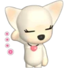 🐾chihuahuas 🐾 (5n92wv3hqj)