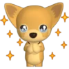 🐾chihuahuas 🐾 (d7h89n3rmw)