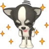 🐾chihuahuas 🐾 (g45hq37v6p)