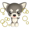 🐾chihuahuas 🐾 (h2vjdfrtky)