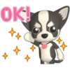 🐾chihuahuas 🐾 (vz6n985rwk)