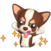 🐾chihuahuas 🐾 (fs64px8j7q)