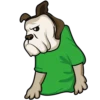 ★⚫⃟My Funny Dogs⚫⃟ (dzwm4829b6)