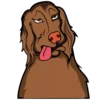 ★⚫⃟My Funny Dogs⚫⃟ (tkyfjgq4mv)
