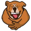 ★⚫⃟My Funny Dogs⚫⃟ (dtmrcg78qj)