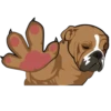 ★⚫⃟My Funny Dogs⚫⃟ (sv3758zgdw)