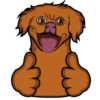 ★⚫⃟My Funny Dogs⚫⃟ (chxfqmdn9z)