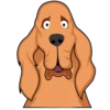 ★⚫⃟My Funny Dogs⚫⃟ (85b9gft7md)