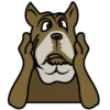 ★⚫⃟My Funny Dogs⚫⃟ (qrx7tyh28s)