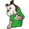 ★⚫⃟My Funny Dogs⚫⃟ (89gxprbwj6)