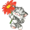 قطة مع زهرة