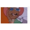 jerry the mouse pack