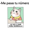 Gatita del oxxo (36wkqt57mj)