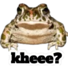 sapos y ranas para my jerrys♡♤