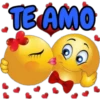 emoji (vnqkt948sd)