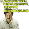 PABLO ESCOBAR 1 (fyvh4sp2rk)