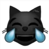 قط يضحك