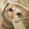 دموع المال