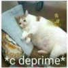 ردود الفعل التي لا يمكن تفويتها (qtdwmcbzy9)