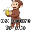 القرد الفضولي