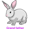 أرنب (4trqmw6vyz)