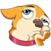 Chihuahua Chica (y2xpqdjtb7)