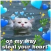 Love Cats (pj9v4f82xm)
