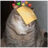 Love Cats (78tsz2pcqj)