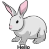 أرنب (grx2s9q6dh)