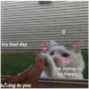Love Cats (s7dfh85rvp)