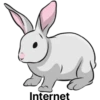 أرنب (4dhn2kwgy9)