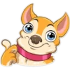 Chihuahua Chica (2nhx7jctyz)