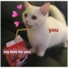 Love Cats (84s3dgqyj6)