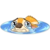 Chihuahua Chica (f6y9gvbn8h)