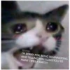 Love Cats (2mr68ctxyv)