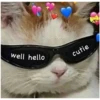 Love Cats (cyb7gnh4xw)